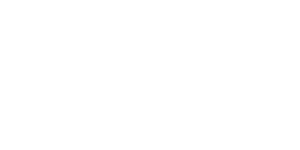 logo bluediamond